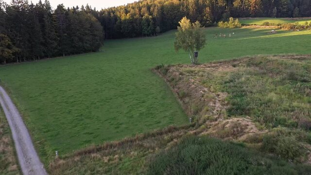 Langsamer Flug Video einer Luftaufnahme mit einer Drohne im bayerischen Wald bei Grafenau rückwärts über den Stausee in Grossarmschlag, Deutschland