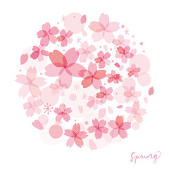 春の桜の花びらベクター素材　メッセージカード用Cherry blossom illustration for spring
