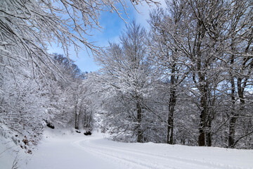 Paysage hivernal en Lozère