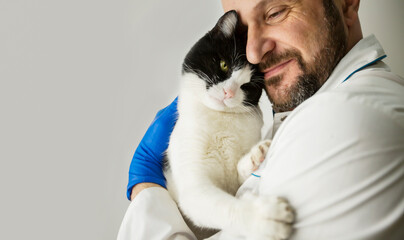 veterinarian hugs a cat in his arms. veterinary medicine. pet care