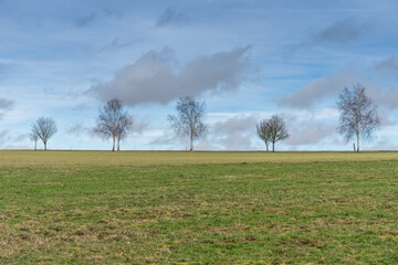 A hike through the forest and fields in the Westerwald in winter