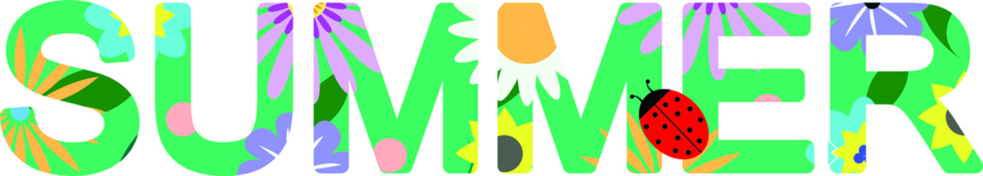 Vector graphics - the word summer and letters with bright colors and a green background and a cowbird. The concept season.