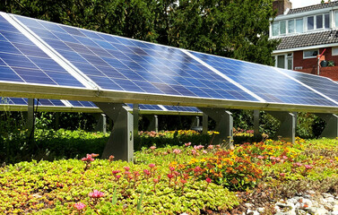 Green sedum rooftop garden with solar panels for solar energy, climate adaptation and stimulating...