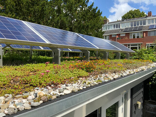 Green sedum rooftop garden with solar panels for solar energy, climate adaptation and stimulating biodiversity  - obrazy, fototapety, plakaty