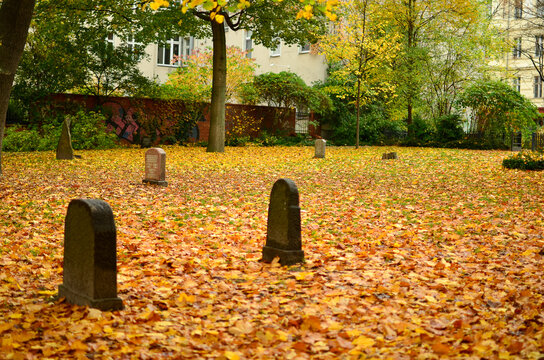 Berlin, Germany - October 16, 2013: Park full of autumn leaves