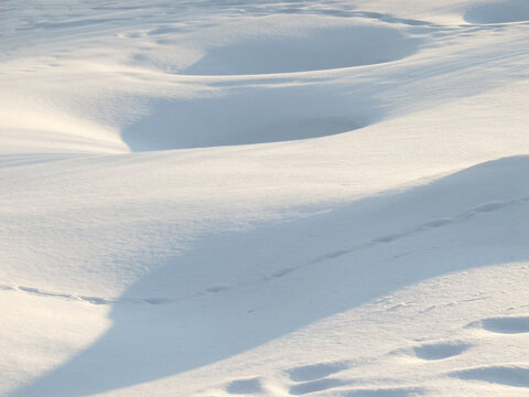 Shadows and patterns  in  the snow