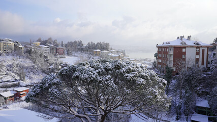Snowy Winter day  in İstanbul