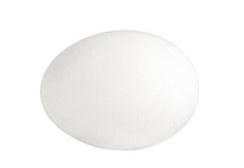 White chiken egg isolated on white background