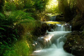 Waterfall amidst rocks and trees in forest, ,Swabian Alb, Germany