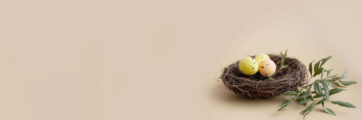 Yellow easter eggs in nest and green leaves on pastel background with copy space. Minimal style