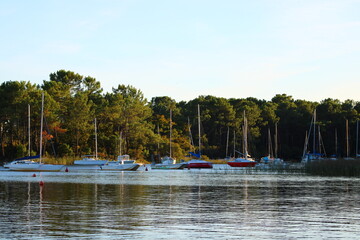 Fototapeta na wymiar Embarcación de veleros en un lago