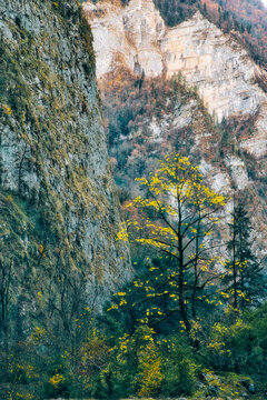 Steep cliffs in Ritsa Relict National Park