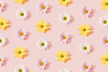 Beautiful flowers color decoration on a pink pastel background. Flat lay pattern.
