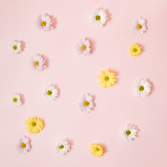 Flowers color composition on a pink pastel background. Flat lay. Pattern.