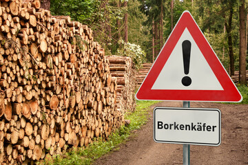 Schild Achtung Borkenkäfer Wald Baumstamm