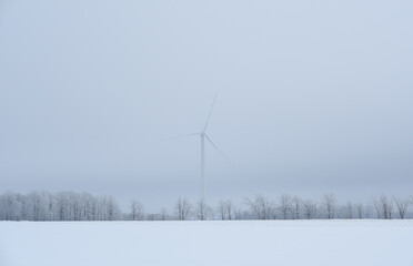 wind power turbines for producing hydro set in rural farmer fields on a foggy winter day
