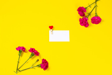 Pink carnation flowers with Blank Greeting Card on yellow background.