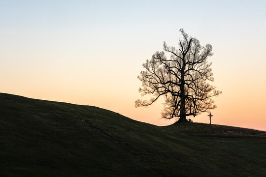 Baum, Bank und Kreuz als Silhouette im Abendlicht