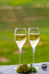 Tasting of french sparkling white wine with bubbles champagne on outdoor terrace with view on grand cru Champagne vineyards in Cramant, near Epernay, France