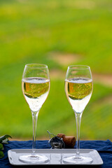 Tasting of french sparkling white wine with bubbles champagne on outdoor terrace with view on grand cru Champagne vineyards in Cramant, near Epernay, France