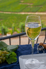 Tasting of french sparkling white wine with bubbles champagne on outdoor terrace with view on grand cru Champagne vineyards in Cramant, near Epernay, France