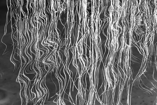 Vertikale Wellelinien in schwarz-weiß