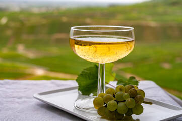 Tasting of french sparkling white wine with bubbles champagne on outdoor terrace with view on grand cru Champagne vineyards in Cramant, near Epernay, France