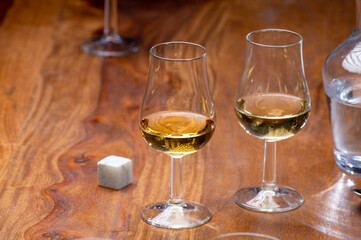 Tasting glass with strong alcoholic spirit drink whisky, cognac, armagnac or calvados