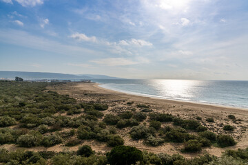 the beach in the Nature Park La Brena near Barbate in Andalusia