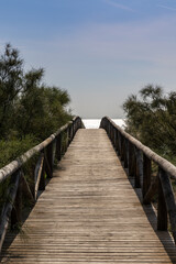 Fototapeta premium long wooden boardwalk and beach access leads to beach and glistening ocean
