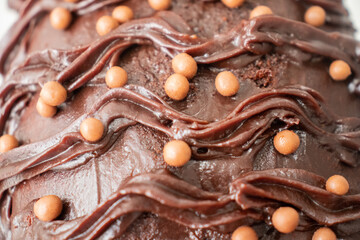 close up of chocolate cake and chips