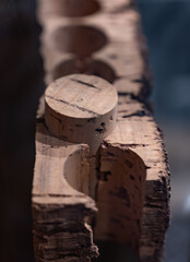 Traditional way of making cork stoppers for wine bottles from cork oak tree