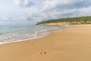 peaceful sandy beach with gentle waves and tree covered cliffs in the background