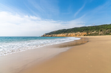 peaceful sandy beach with gentle waves and tree covered cliffs in the background