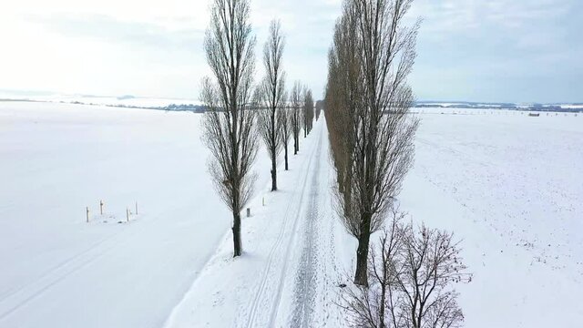 Winter Schnee auf einem Feld mit langer Pappel Allee - endloser Feldweg