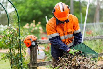Worker finishing up job cleaning sticks off the lawn after felling a tree