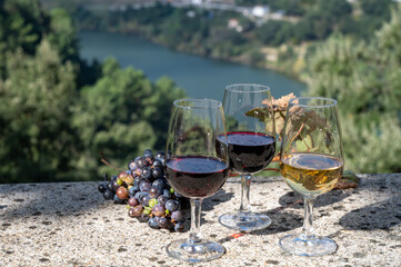 Outdoor tasting of different fortified port wines in glasses in sunny autumn, Douro river Valley, Portugal