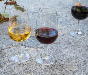 Outdoor tasting of different fortified port wines in glasses in sunny autumn, Douro Valley, Portugal