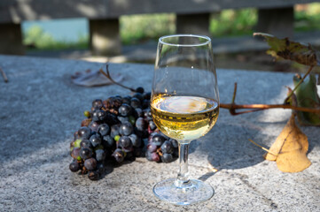 Outdoor tasting of different fortified port wines in glasses in sunny autumn, Douro Valley, Portugal