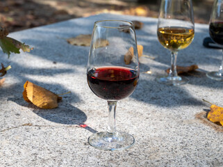 Outdoor tasting of different fortified port wines in glasses in sunny autumn, Douro Valley, Portugal