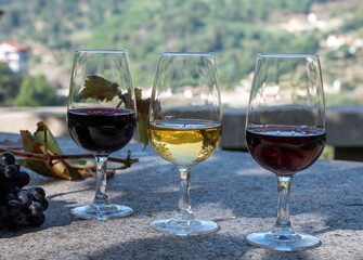 Outdoor tasting of different fortified port wines in glasses in sunny autumn, Douro Valley, Portugal