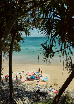 View Through Trees Of Little Cove, Noosa