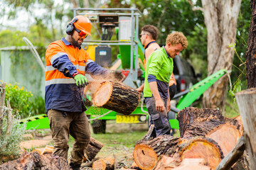 Lumberjack worker throwing log covered in sawdust onto pile