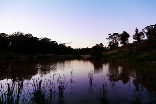 Dusk light over Nowlan Park dam and reeds