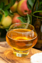 Taste of Normandy, France, glass of apple cider and camembert cheese and green apple tree with ripe red fruits on background