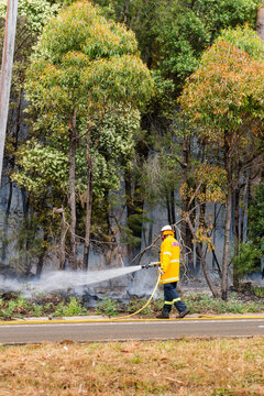 fireman putting out bushfire with hose