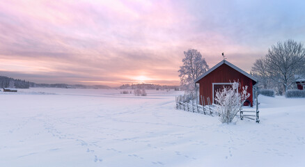 Winter view of a red barn at sunset in Rusko, Finland. Trees covered with snow. © Finmiki