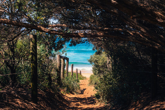 secret pathway to the beach, secret location available upon request