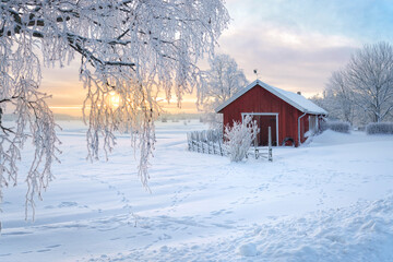 Winter view of a red barn at sunset in Rusko, Finland. Trees covered with snow. - Powered by Adobe