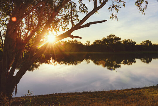 Sunset over water with flare through gum trees, in muted tones